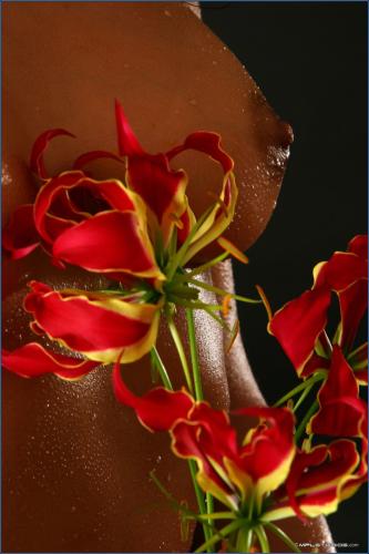[Image: 562475617_mplstudios-com_2005-11-08_name...i-fina.jpg]